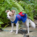 All American Girl Dress