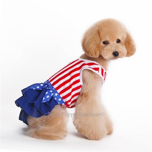 American Girl Dress - Posh Puppy Boutique