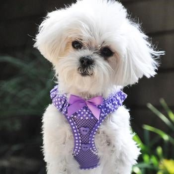 American River Choke Free Harness - Paisley Purple Polka Dot - Posh Puppy Boutique