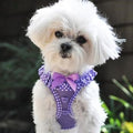 American River Choke Free Harness - Paisley Purple Polka Dot - Posh Puppy Boutique