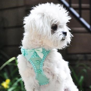 American River Choke Free Harness - Teal Polka Dot - Posh Puppy Boutique