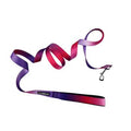 American River Ombre Leash - Raspberry Sundae