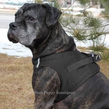 American River Ultra Choke Free Dog Harness- Black - Posh Puppy Boutique