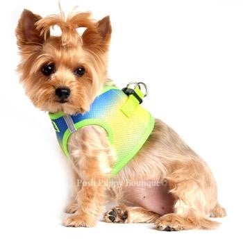 American River Ultra Choke Free Dog Harness- Ombre Collection - Colbalt Sport - Posh Puppy Boutique