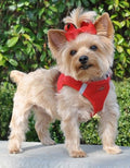 American River Ultra Choke Free Dog Harness- Red - Posh Puppy Boutique