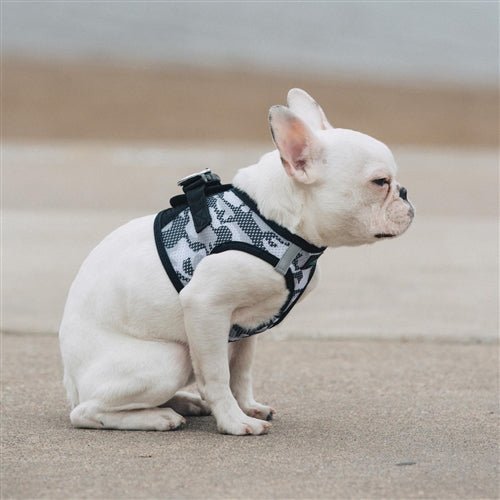 American River Ultra Choke Free Dog Harness Camouflage Collection - Gray Camo - Posh Puppy Boutique