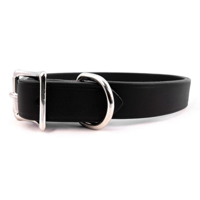 AUBURN Town Collar in Many Colors