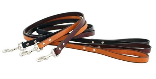 Auburn Town Leash - Many Colors - Posh Puppy Boutique