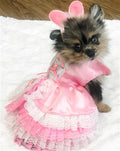 Barktorias Secret Costume - Posh Puppy Boutique