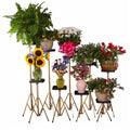 Basic gold stand with 8" top used in funeral service operations, from lynch supply