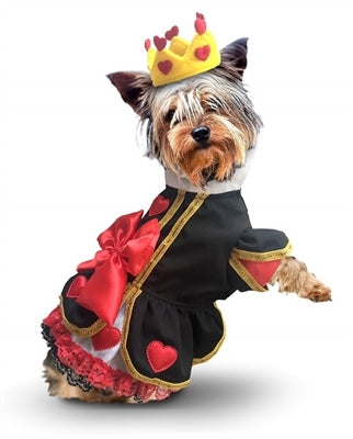 Big Bow and Hearts Queen Dress Dog Costume - Posh Puppy Boutique