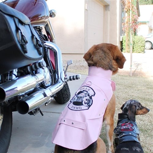 Biker Dawg Motorcycle Dog Jacket - Black - Posh Puppy Boutique
