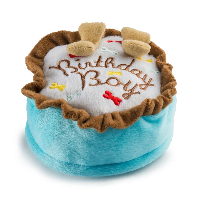 Birthday Boy Cake Toy