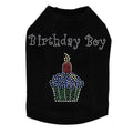 Birthday Boy Rhinestone Tank- Many Colors - Posh Puppy Boutique