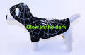 Black Spider Dog Costume Glow in the Dark - Posh Puppy Boutique