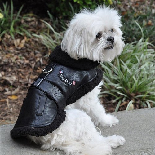 Black Top Dog Flight Coat with Leash - Posh Puppy Boutique