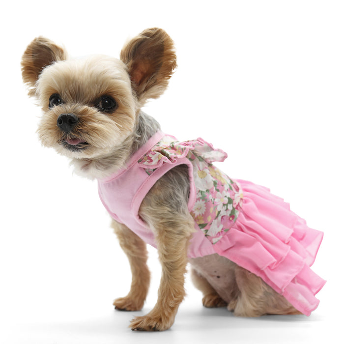Blossom Dress