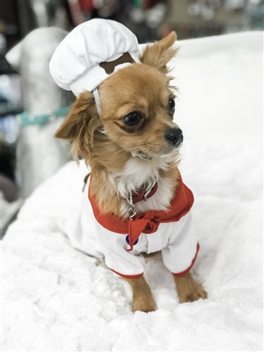 Bone Appetite Chef Costume - Posh Puppy Boutique