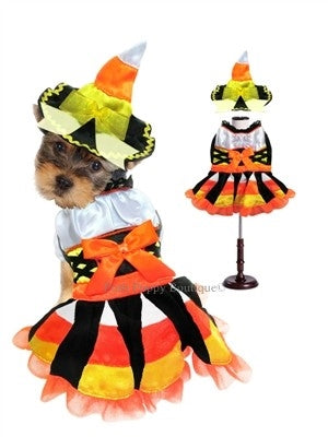 Candy Corn Witch Costume - Posh Puppy Boutique