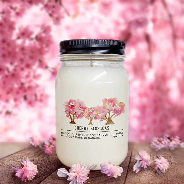 Cherry Blossoms