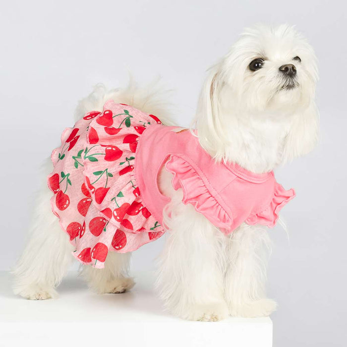 Cherry Cake Dog Tiered Dress