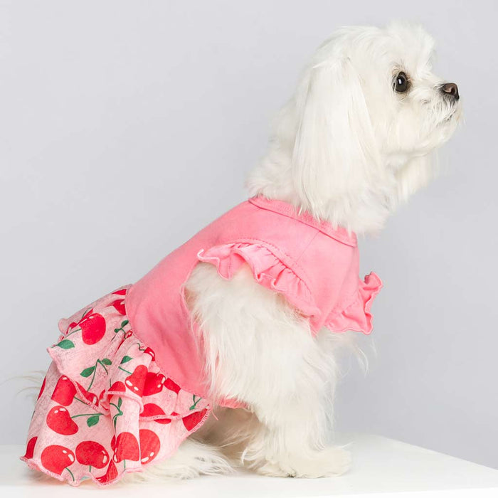 Cherry Cake Dog Tiered Dress