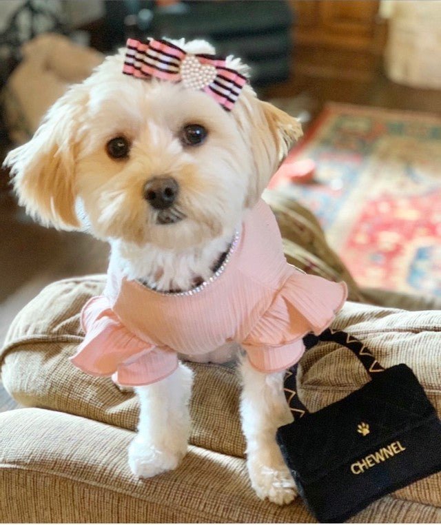 Chewnel Classique Black Purse - Posh Puppy Boutique