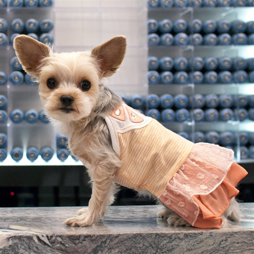 Citrus Dress - Posh Puppy Boutique