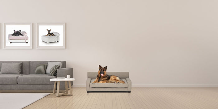 Club Nine Pets Metro Orthopedic Dog Bed in Oatmeal - Posh Puppy Boutique