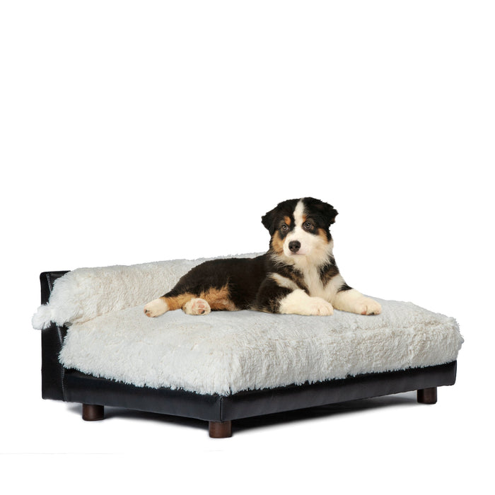 Club Nine Pets Roma Orthopedic Dog Bed in Ivory - Posh Puppy Boutique
