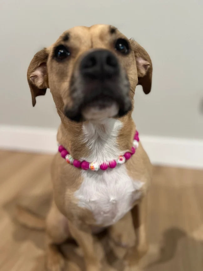 Coco Dainty Collective Beaded Collar