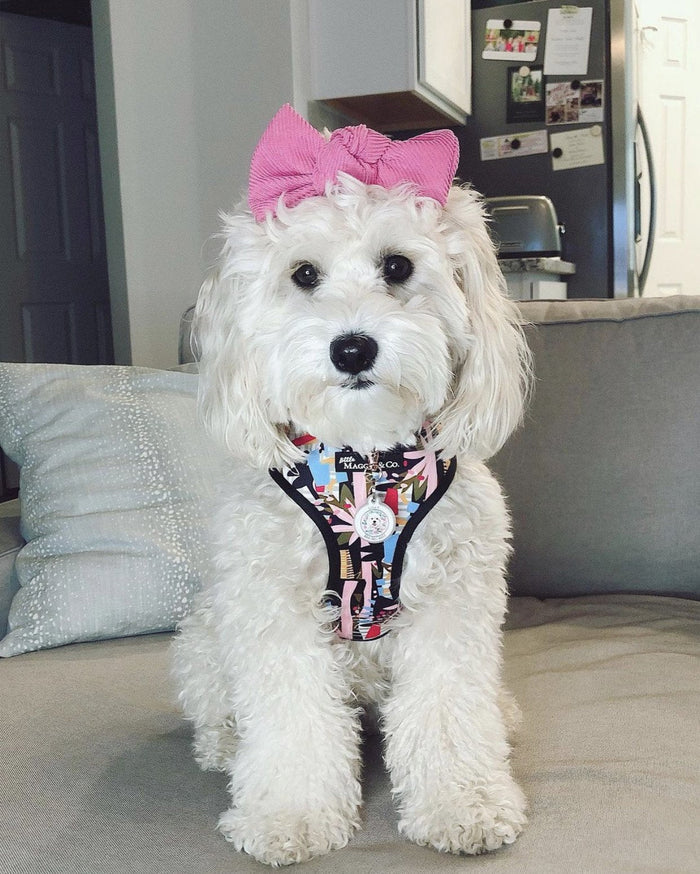 Corduroy Hair Bow - Rosy - Posh Puppy Boutique