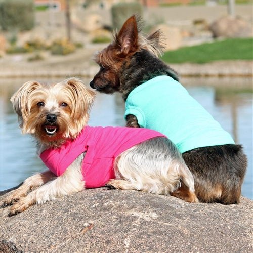 Cotton Dog Tank - Teal - Posh Puppy Boutique