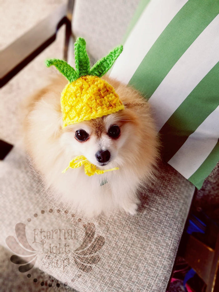 Crochet Pineapple Beanie Hat