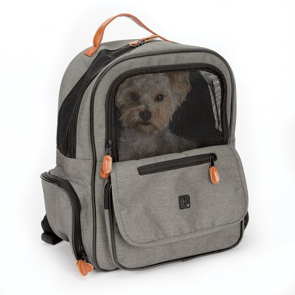Cruising Companion On The Go Backpack - Posh Puppy Boutique