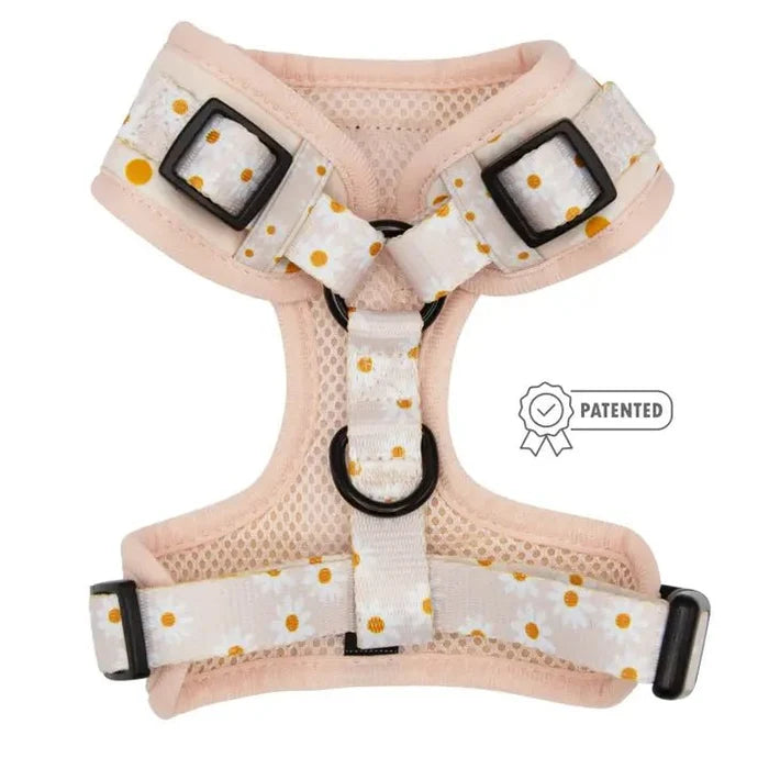Dainty Daisy Adjustable Dog Harness - Posh Puppy Boutique