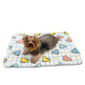 Double Layered Ultra Plush Colorful Dinosaurs Blanket - Posh Puppy Boutique