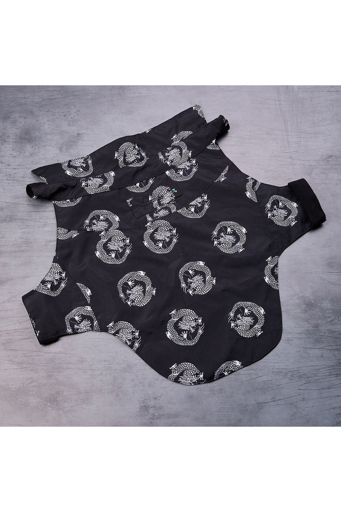 Dragon Camp Shirt