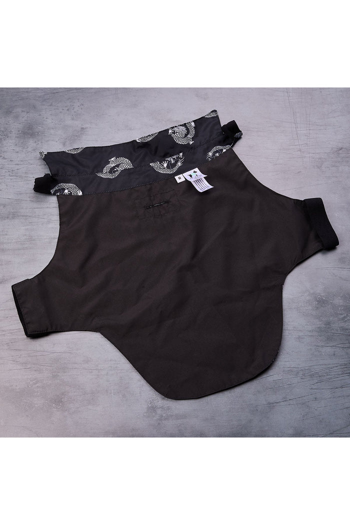 Dragon Camp Shirt