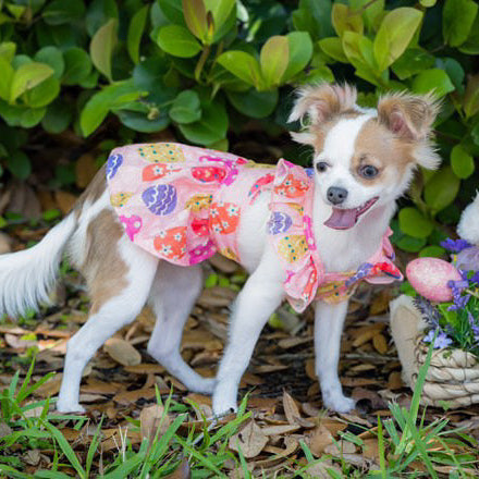 Easter Egg Pink Dress