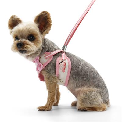 EasyGO Butterfly Harness