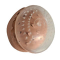Eye caps-morgan used in funeral service operations, from lynch supply