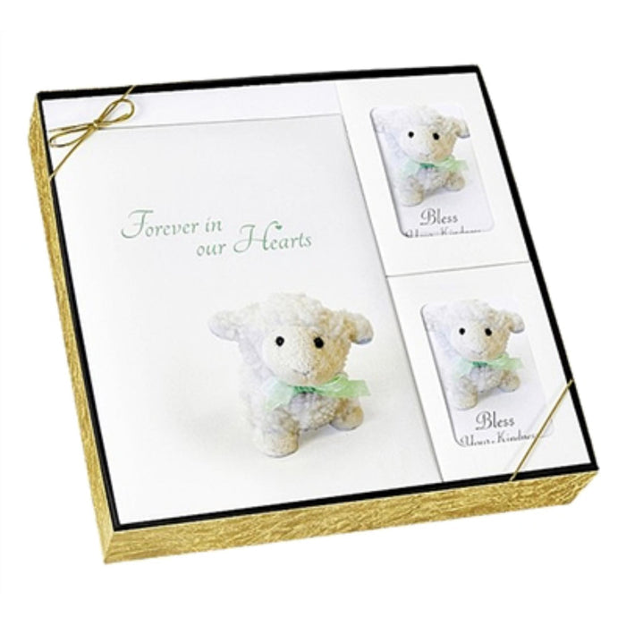 Forever in our hearts childrens gift box set used in funeral service operations, from lynch supply