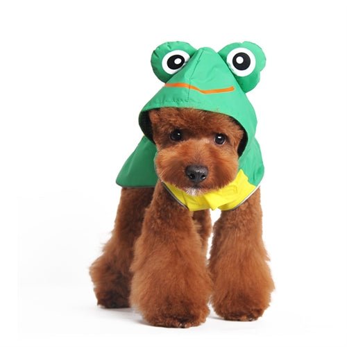 Frog Raincoat - Posh Puppy Boutique