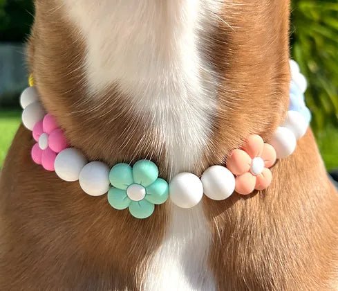 Full Blooms Beaded Pet Collar - Posh Puppy Boutique