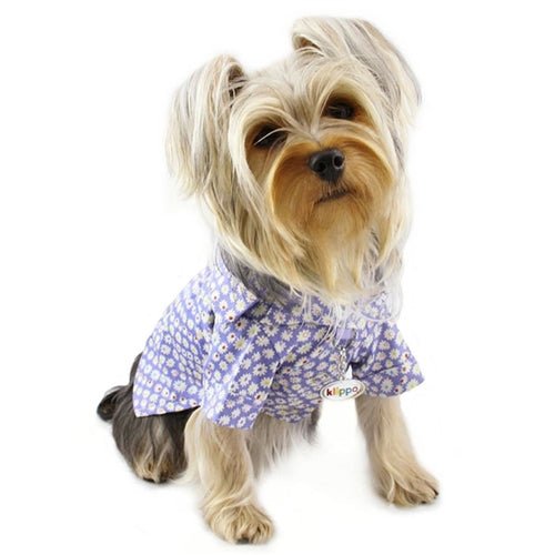 Fun Floral Button - Up Shirt - Posh Puppy Boutique