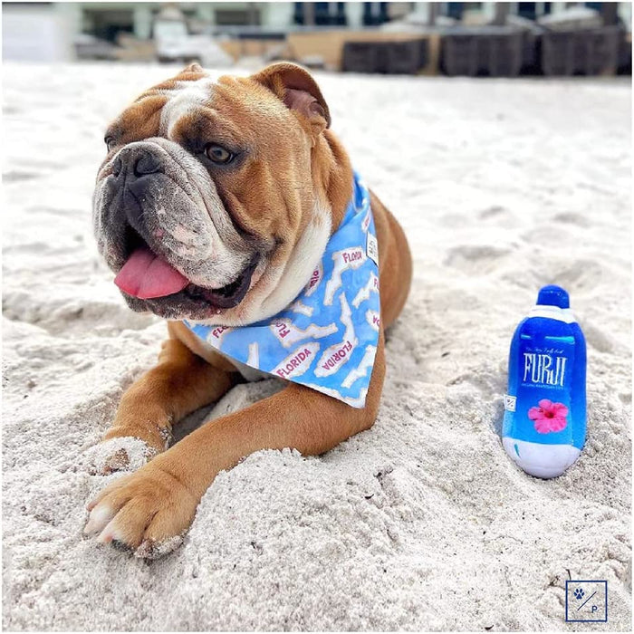 Furji Water Bottle Toy - Posh Puppy Boutique