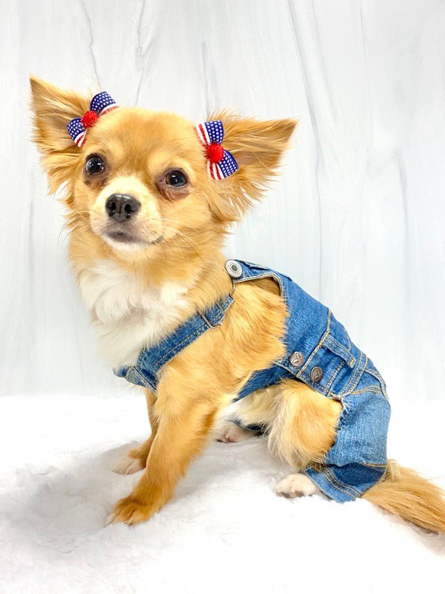 Glory Dogs Hair Bow - Posh Puppy Boutique