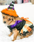 Halloween Witch Costume - Posh Puppy Boutique