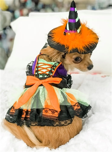 Halloween Witch Costume - Posh Puppy Boutique